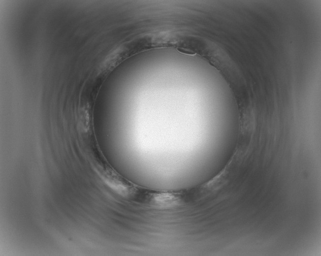 X0000081560183200701221036