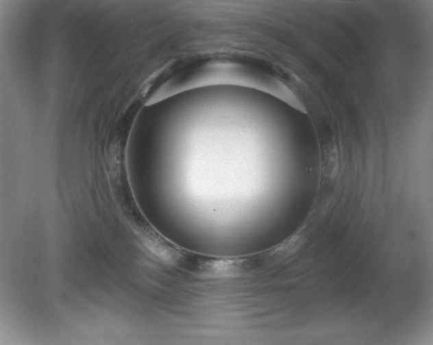 X0000081560184200701221036