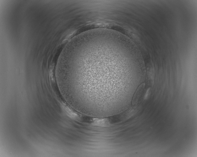 X0000081560185200701221036