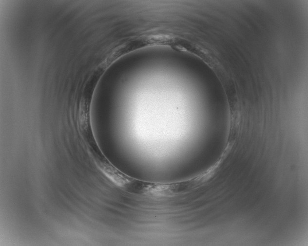 X0000081560186200701221036