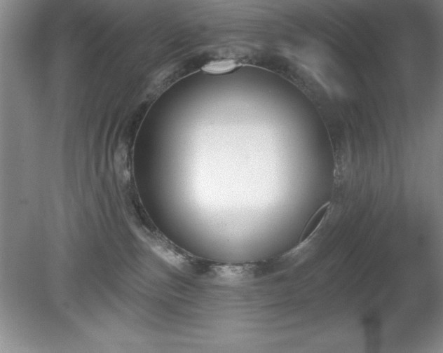 X0000081560187200701221036