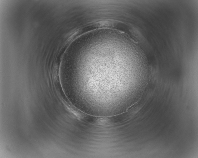 X0000081560189200701221036