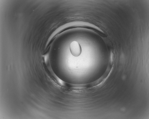 X0000081560190200701221036