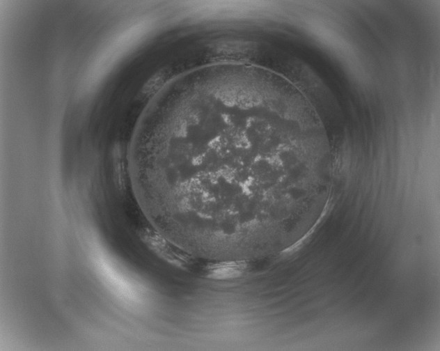 X0000081560191200701221036