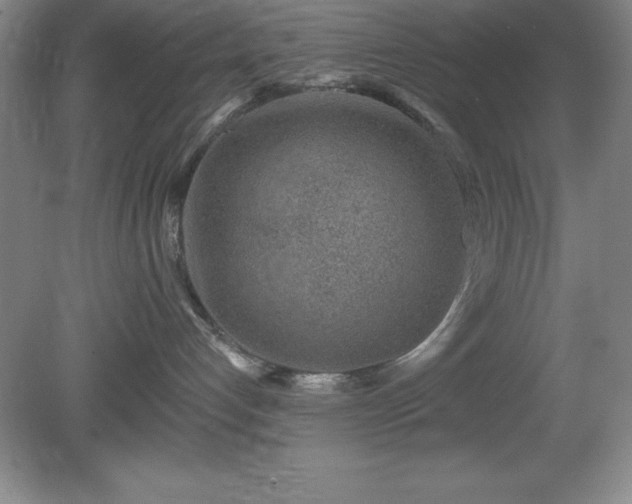 X0000081560192200701221036