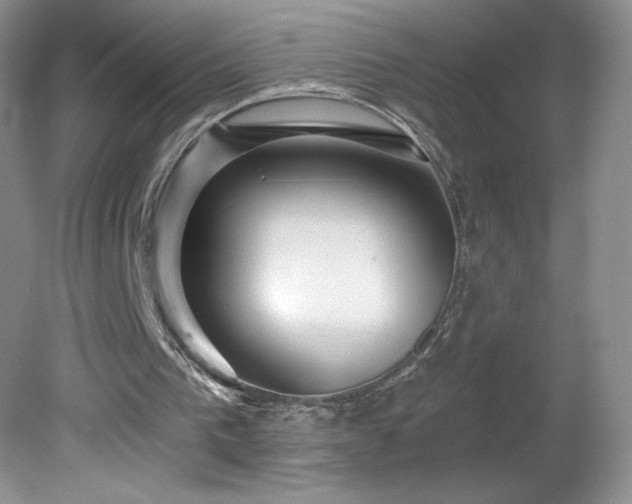 X0000081560193200701221036