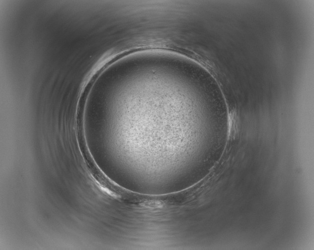 X0000081560195200701221036