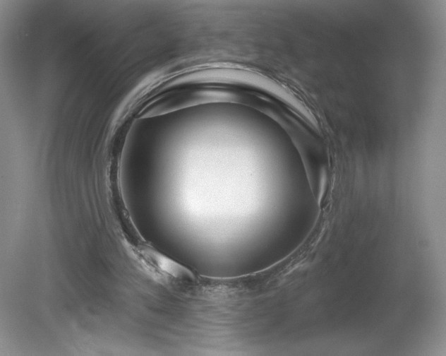 X0000081560197200701221036