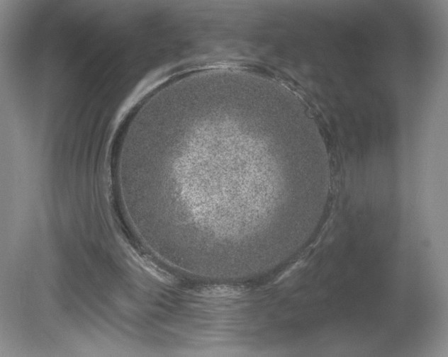 X0000081560198200701221035