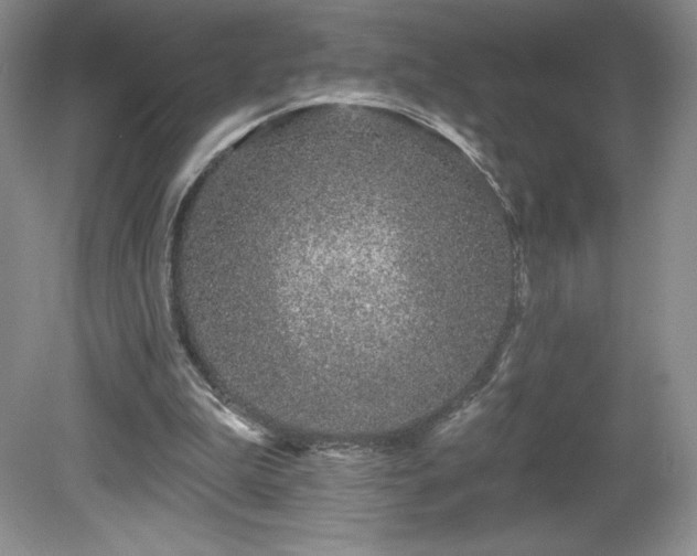 X0000081560199200701221035