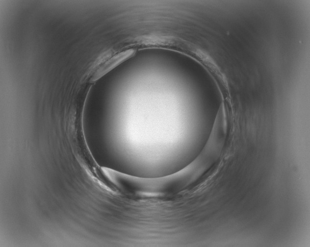 X0000081560201200701221035