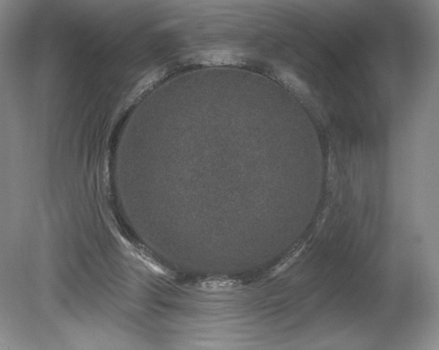 X0000081560202200701221035