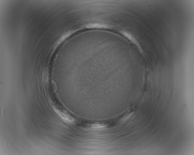 X0000081560204200701221035