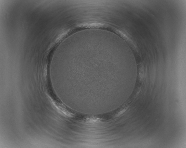 X0000081560206200701221035