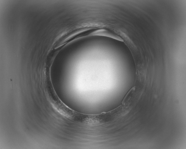 X0000081560207200701221035