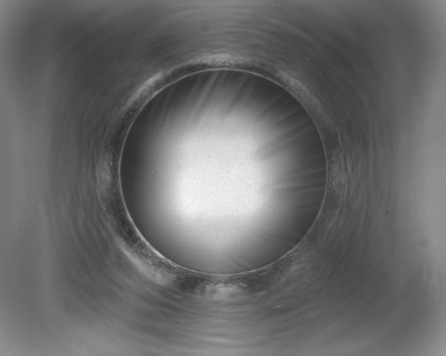 X0000081560208200701221035