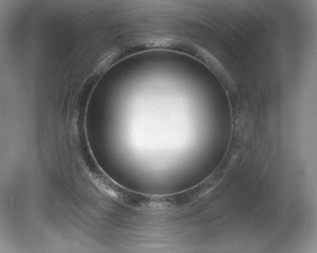 X0000081560209200701221035