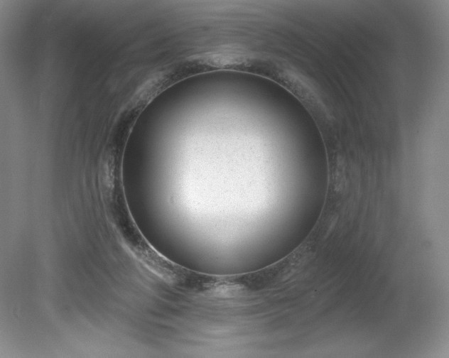 X0000081560210200701221035