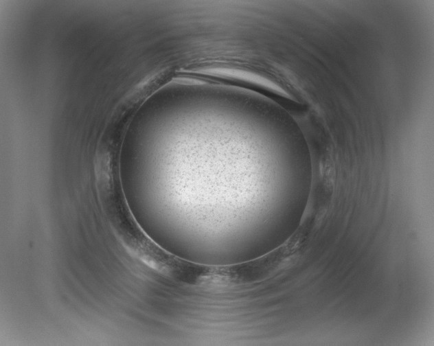 X0000081560211200701221035