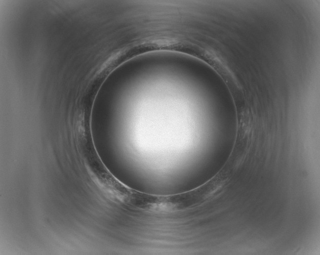 X0000081560212200701221035