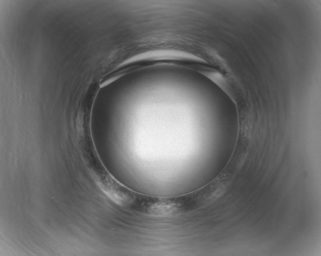 X0000081560213200701221035