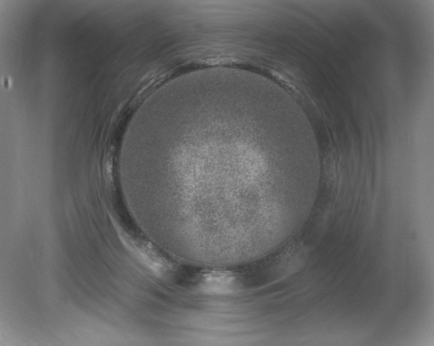 X0000081560214200701221035