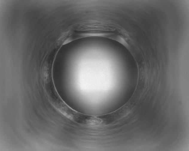 X0000081560215200701221035