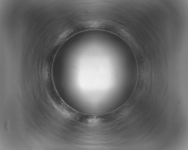 X0000081560216200701221035