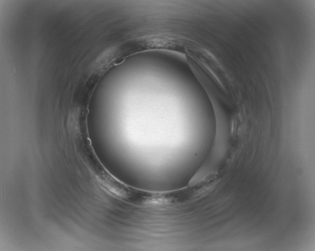 X0000081560217200701221035