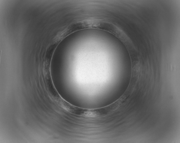 X0000081560218200701221035