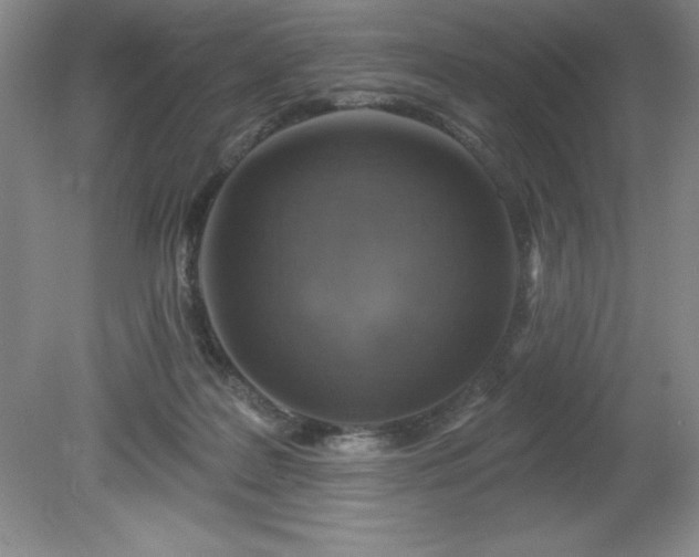 X0000081560219200701221035