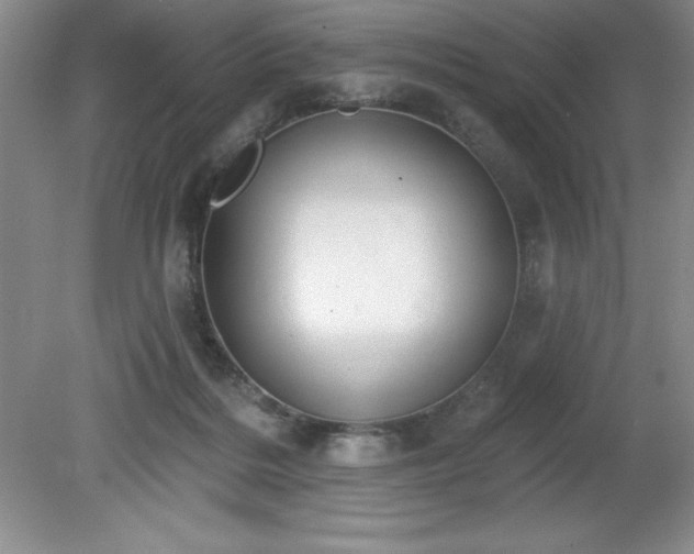 X0000081560220200701221035