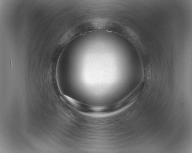 X0000081560221200701221035