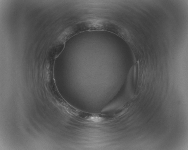 X0000081560223200701221035