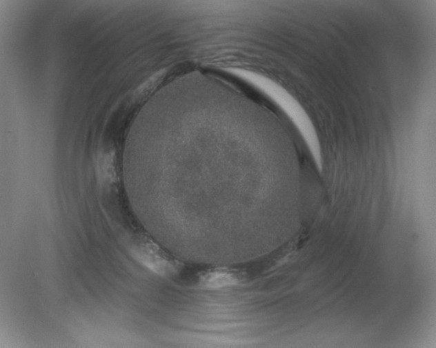 X0000081560224200701221035