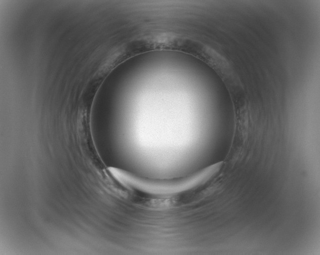 X0000081560225200701221035