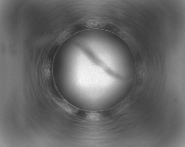 X0000081560226200701221035