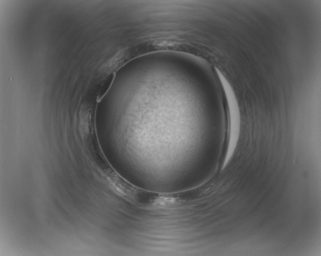 X0000081560227200701221035