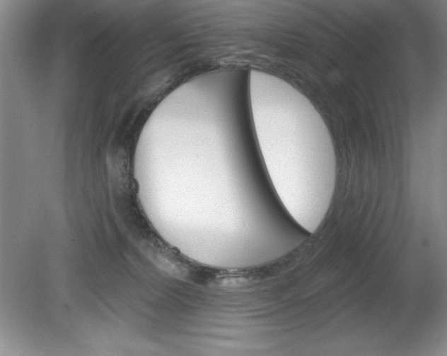 X0000081560228200701221035