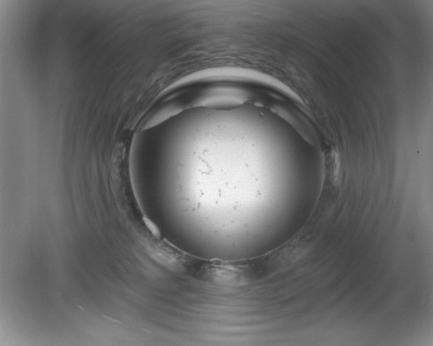 X0000081560229200701221035