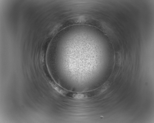 X0000081560230200701221035