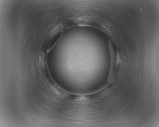 X0000081560231200701221035