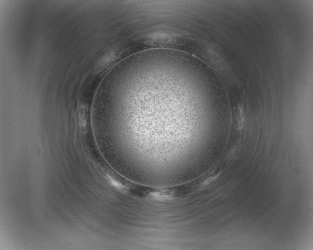 X0000081560232200701221035