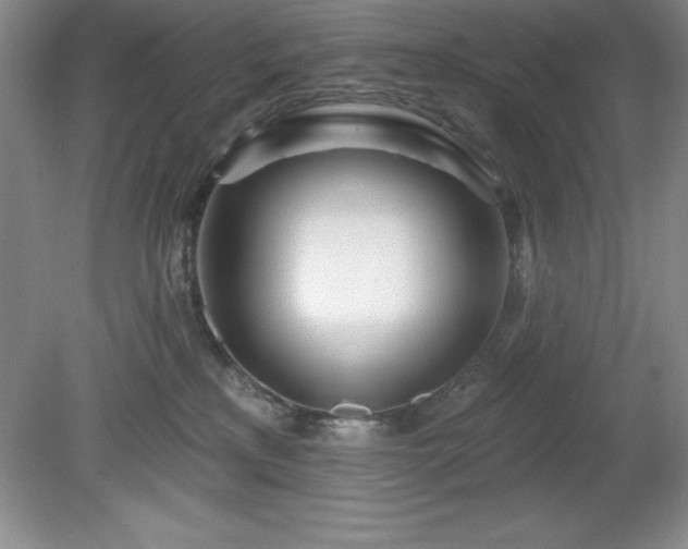 X0000081560233200701221035