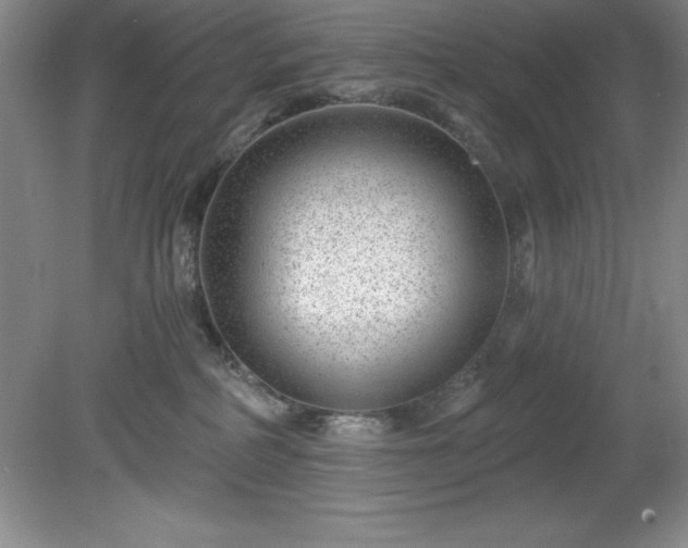 X0000081560234200701221035