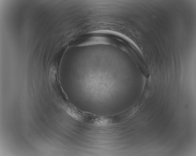 X0000081560235200701221035