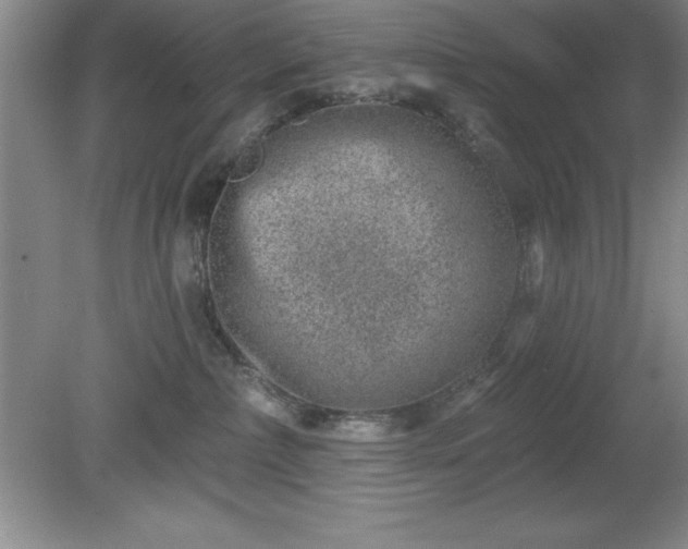 X0000081560236200701221035