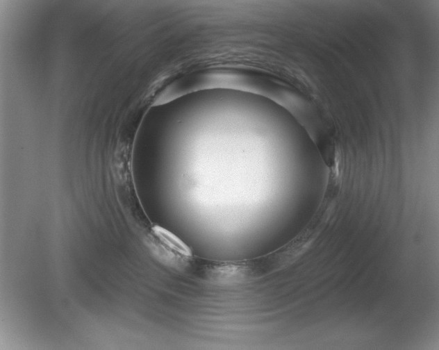 X0000081560237200701221035