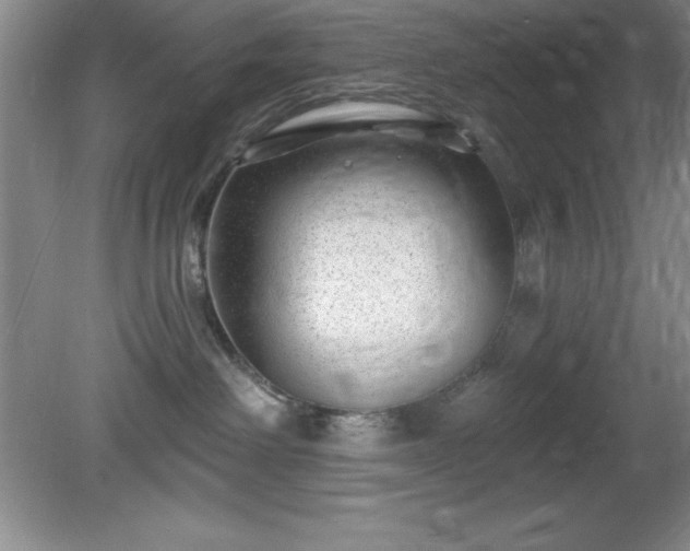 X0000081560238200701221035