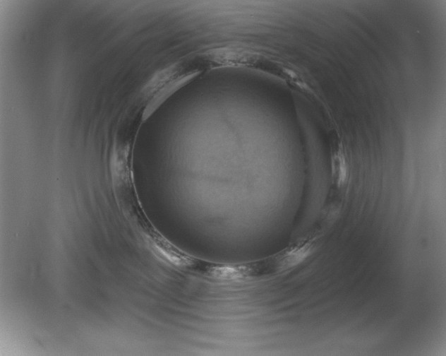 X0000081560239200701221035